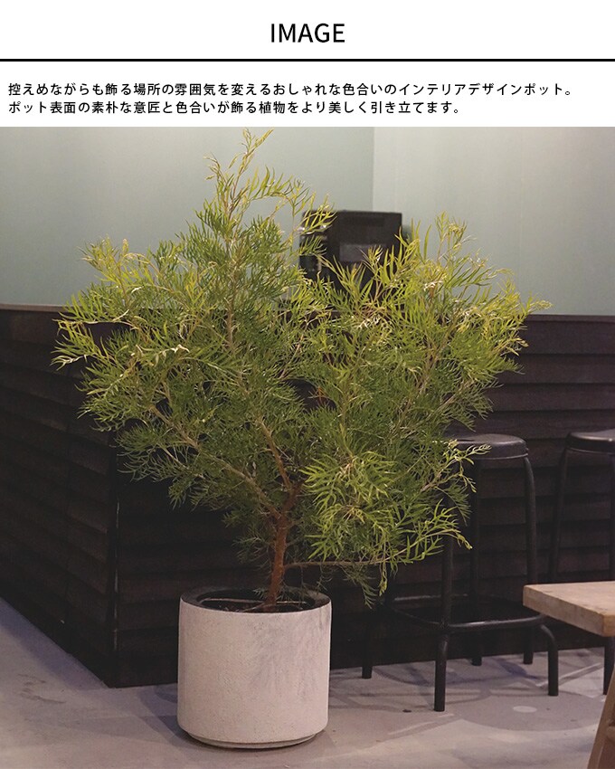 プランター インテリアカラー ソルナシリンダー 直径43cm  プランターポット 植木鉢 大型 大鉢 軽量 シンプル FRP 丈夫 穴あり テラス バルコニー 公共施設 エントランス おしゃれ インテリア  