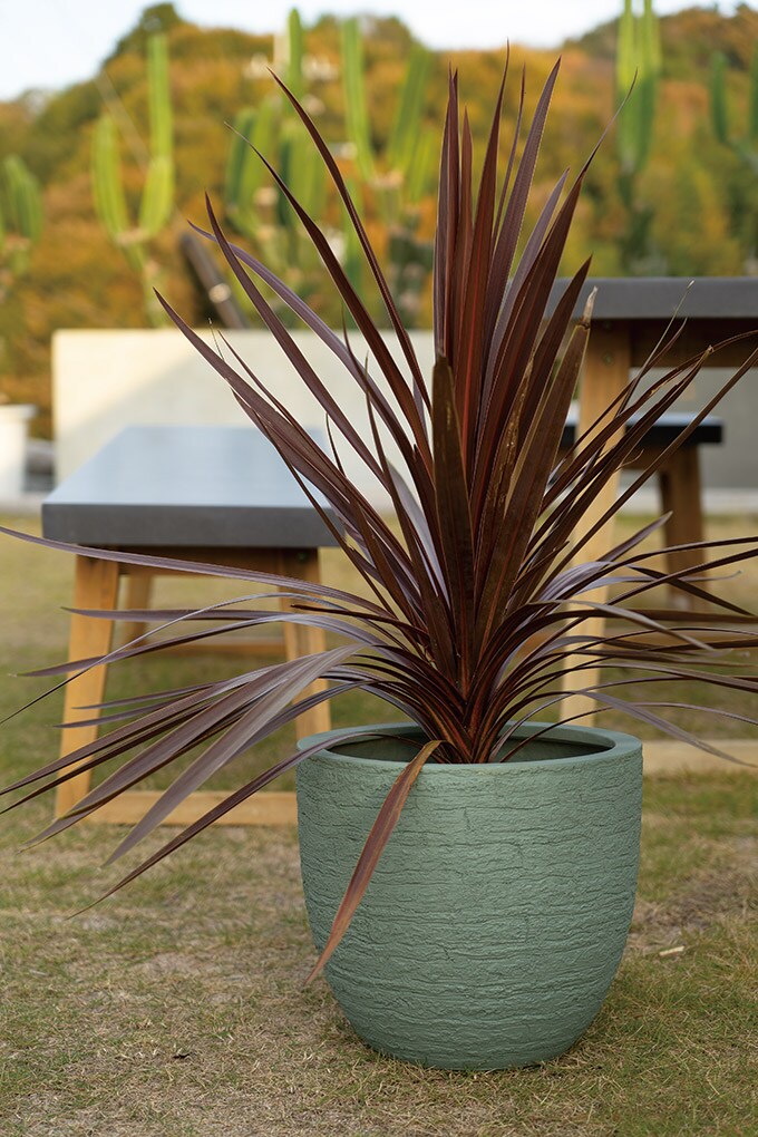 プランター 自然の障壁 クリフエッグ 直径42cm プランターポット 植木鉢 大型 大鉢 軽量 シンプル FRP 丈夫 穴あり テラス バルコニー 公共施設 エントランス おしゃれ インテリア