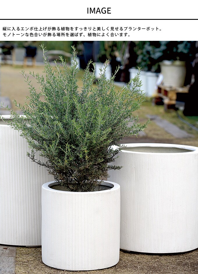 プランター 美しい縦縞 エンバスシリンダー　直径50cm  プランターポット 植木鉢 大型 大鉢 軽量 シンプル FRP 丈夫 穴あり テラス バルコニー 公共施設 エントランス おしゃれ インテリア  