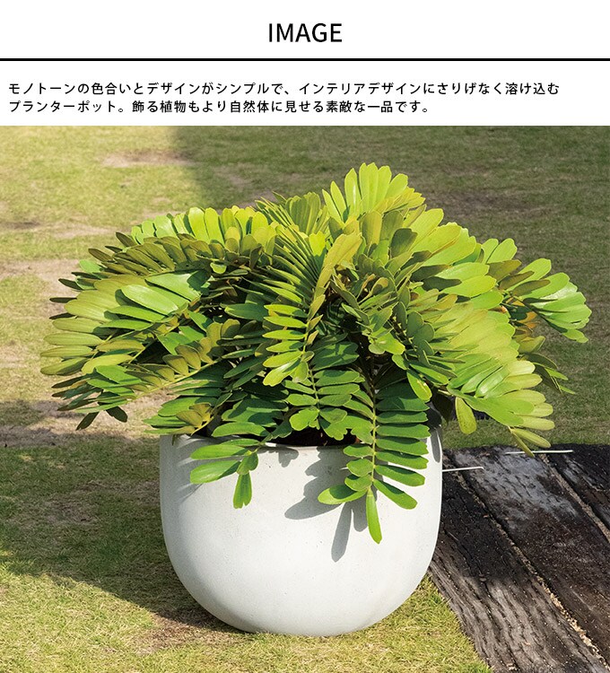 プランター 素朴な風合い デッカーボウル　直径48cm  プランターポット 植木鉢 大型 大鉢 軽量 シンプル ファイバー 丈夫 穴あり テラス バルコニー 公共施設 エントランス おしゃれ インテリア  