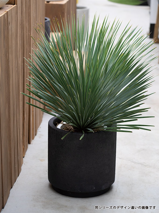 プランター 素朴な風合い デッカーハイシリンダー 直径42cm プランターポット 植木鉢 大型 大鉢 軽量 シンプル ファイバー 丈夫 穴あり テラス バルコニー 公共施設 エントランス おしゃれ インテリア