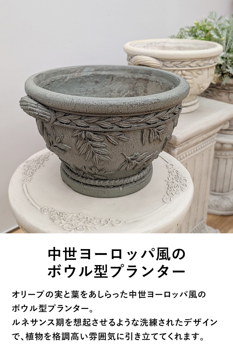 オリーブツリーボウルBE  