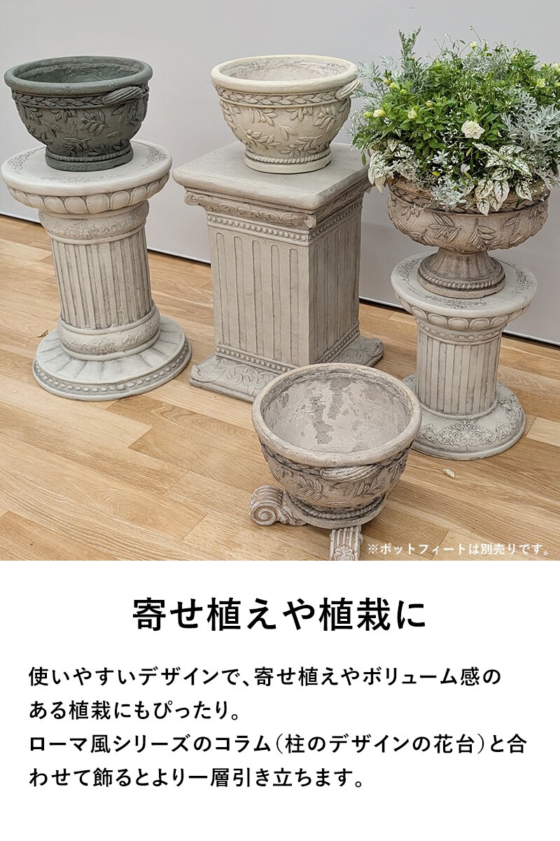 オリーブツリーボウルBE  