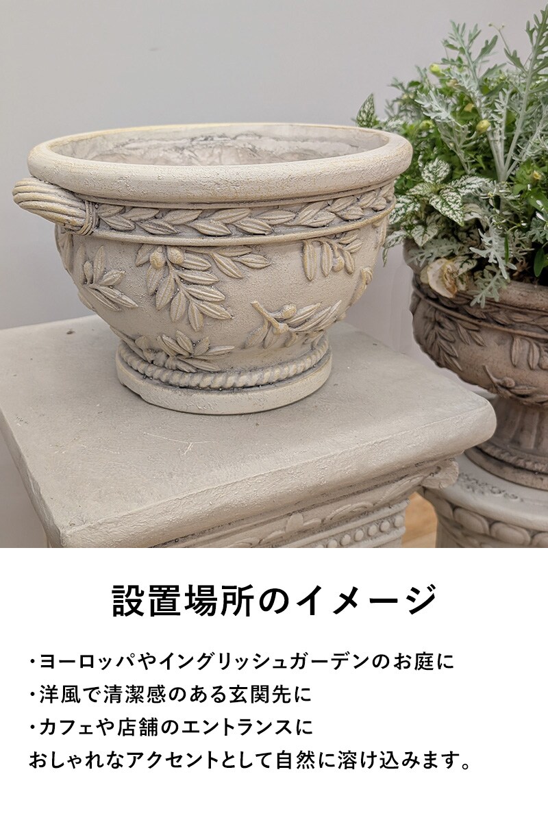 オリーブツリーボウルBE  