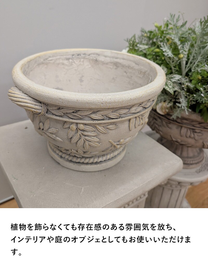 オリーブツリーボウルBE  