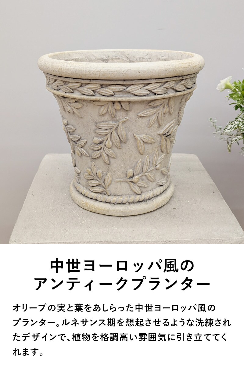 オリーブツリーベーシックS-BE  