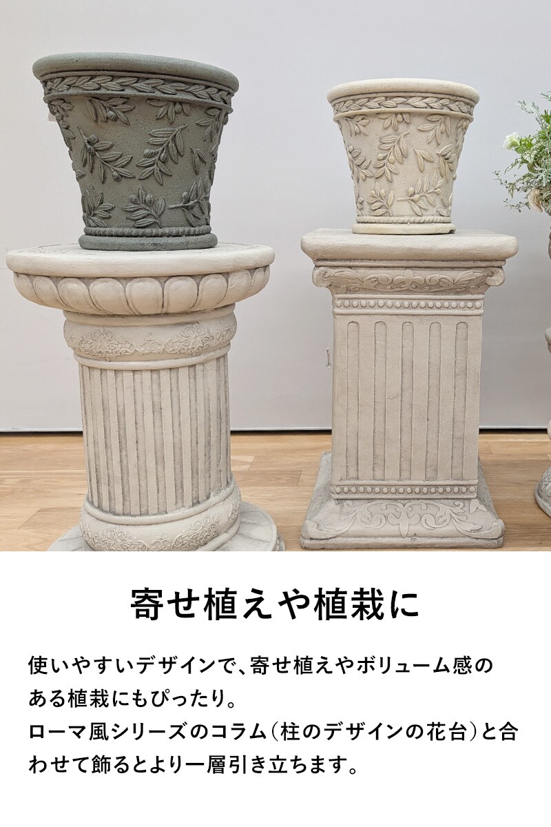 オリーブツリーベーシックS-BE  