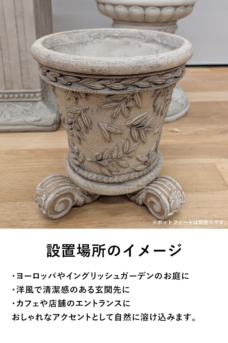 オリーブツリーベーシックS-BE  