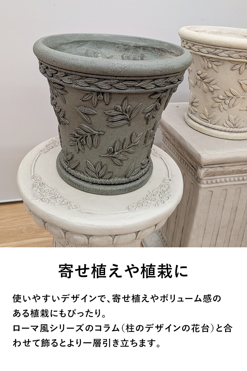 オリーブツリーベーシックL-BE  