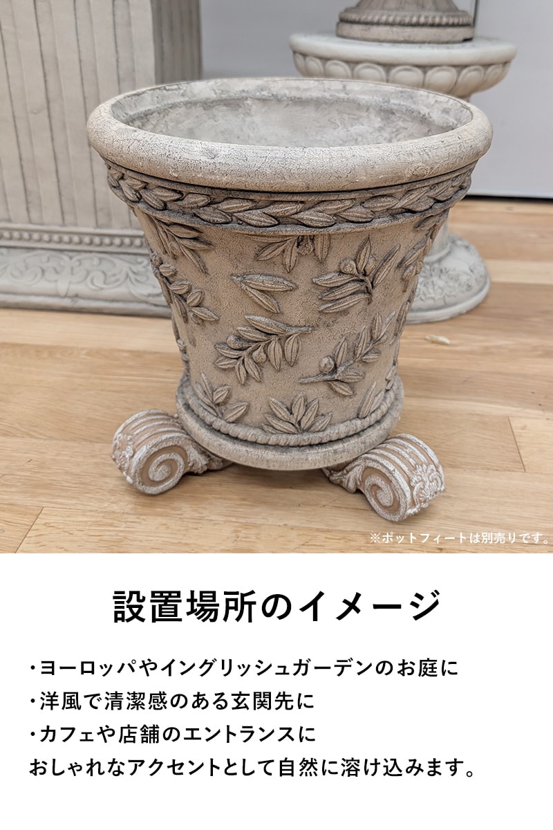 オリーブツリーベーシックL-BE  