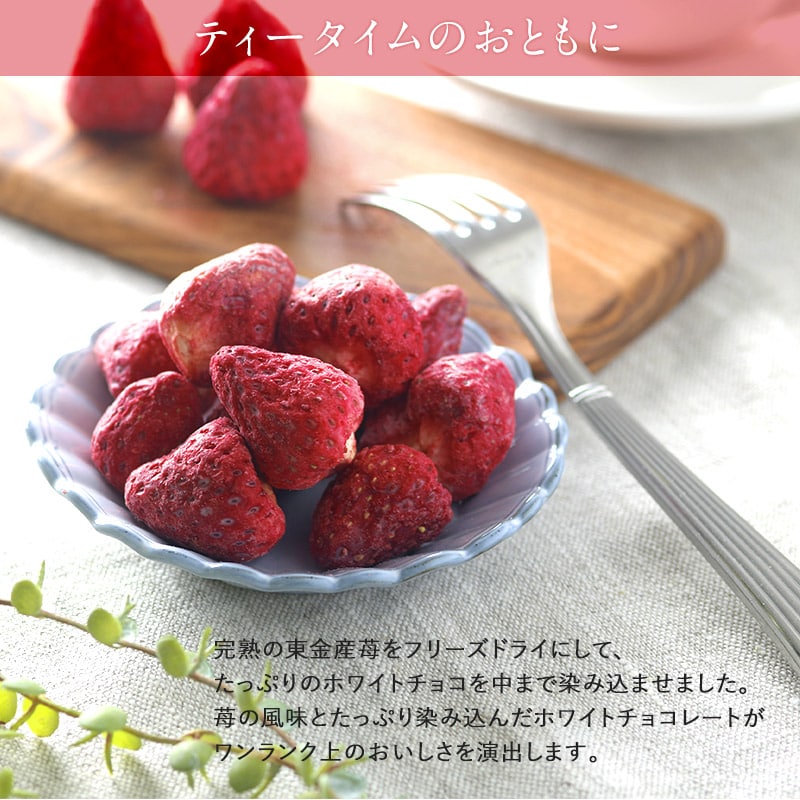染込みチョコまるごと苺「ホール」 スイーツ チョコレート いちご 苺 おしゃれ ギフト ホワイト おいしい 贅沢 フリーズドライ ホール