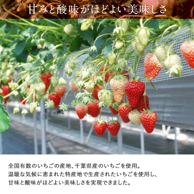 染込みチョコまるごと苺「ホール」 スイーツ チョコレート いちご 苺 おしゃれ ギフト ホワイト おいしい 贅沢 フリーズドライ ホール