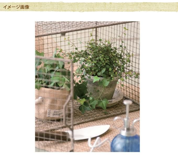 アンティークワイヤーポットカバー Lサイズ 4号 ハンギング プランターポット レトロ デザイン おしゃれ オシャレ 鉢カバー ディスプレイ ガーデン ガーデニング エクステリア