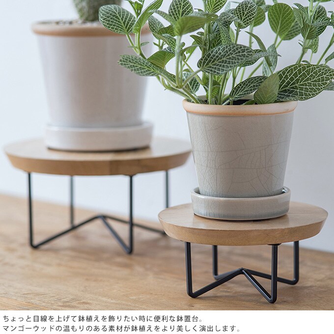 サークルコンポート 直径15cm