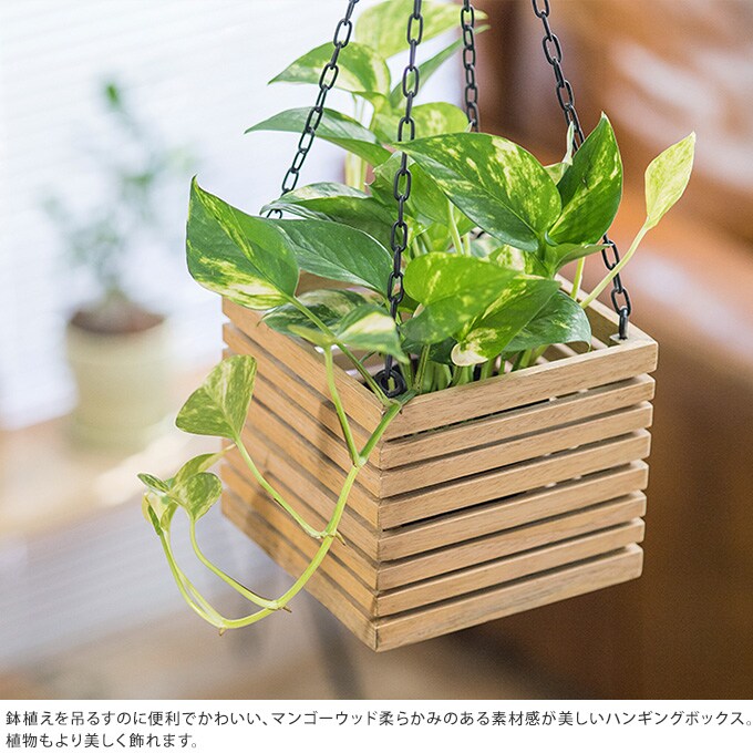 ハンギングボックス 3号鉢用