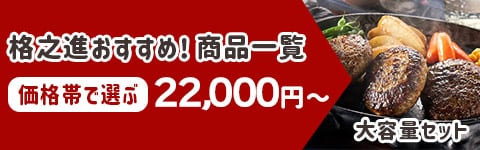 22000円～