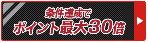 ポイント30倍