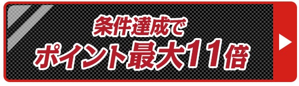 ポイント11倍