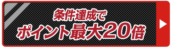 ポイント20倍