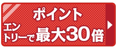 ポイント30倍