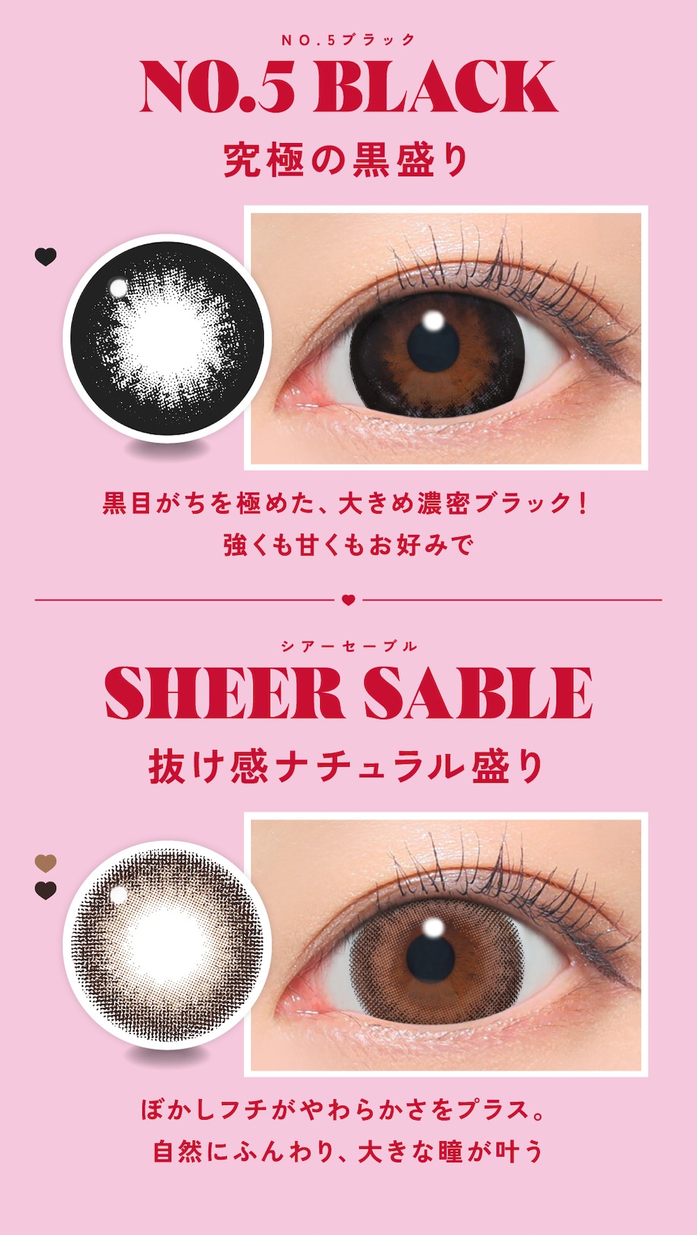 NO.5ブラック・シアーセーブル