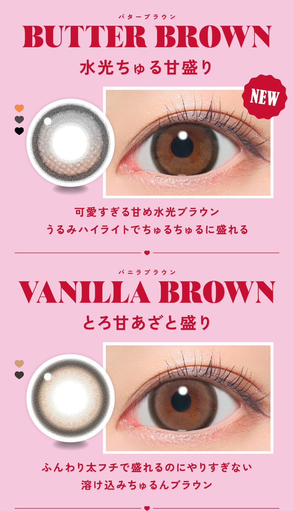 バターブラウン・バニラブラウン