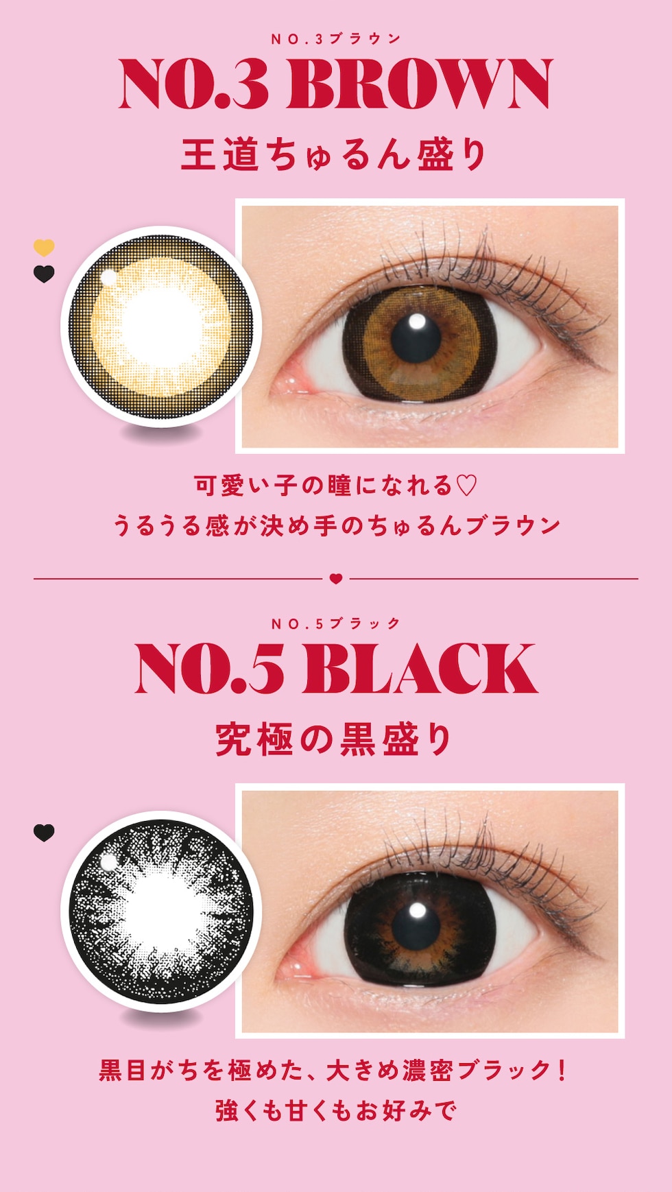 NO.3ブラウン・NO.5ブラック