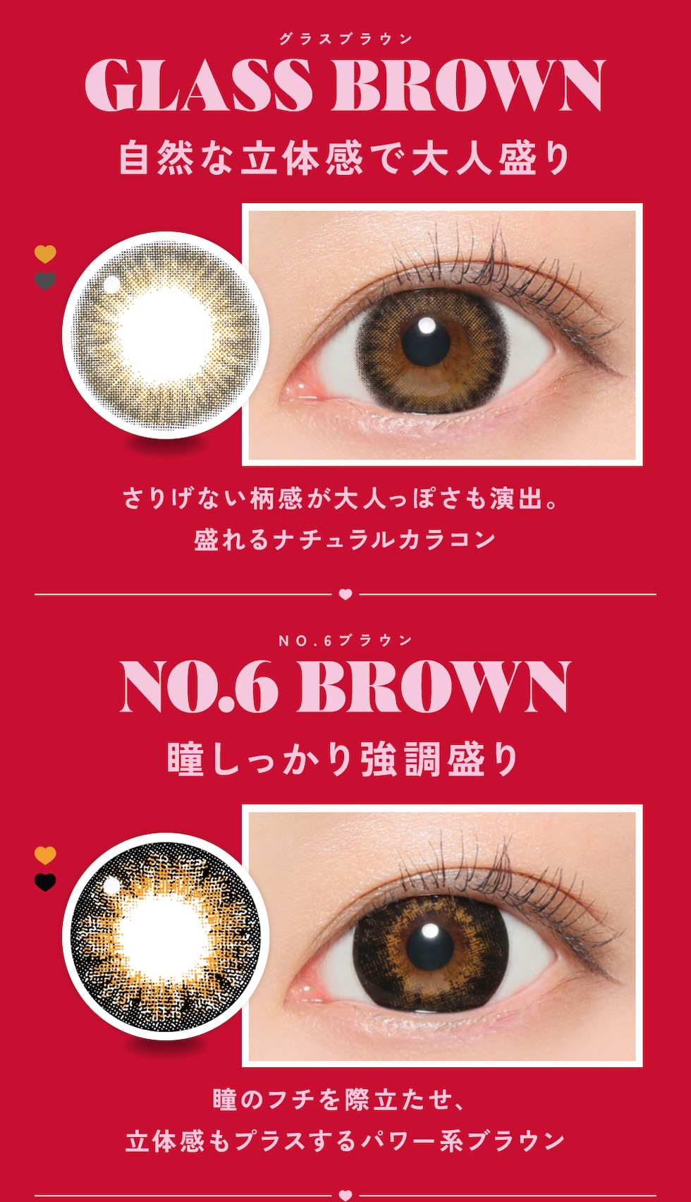 グラスブラウン・NO.6ブラウン