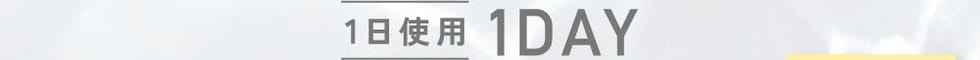 1日使用 1DAY