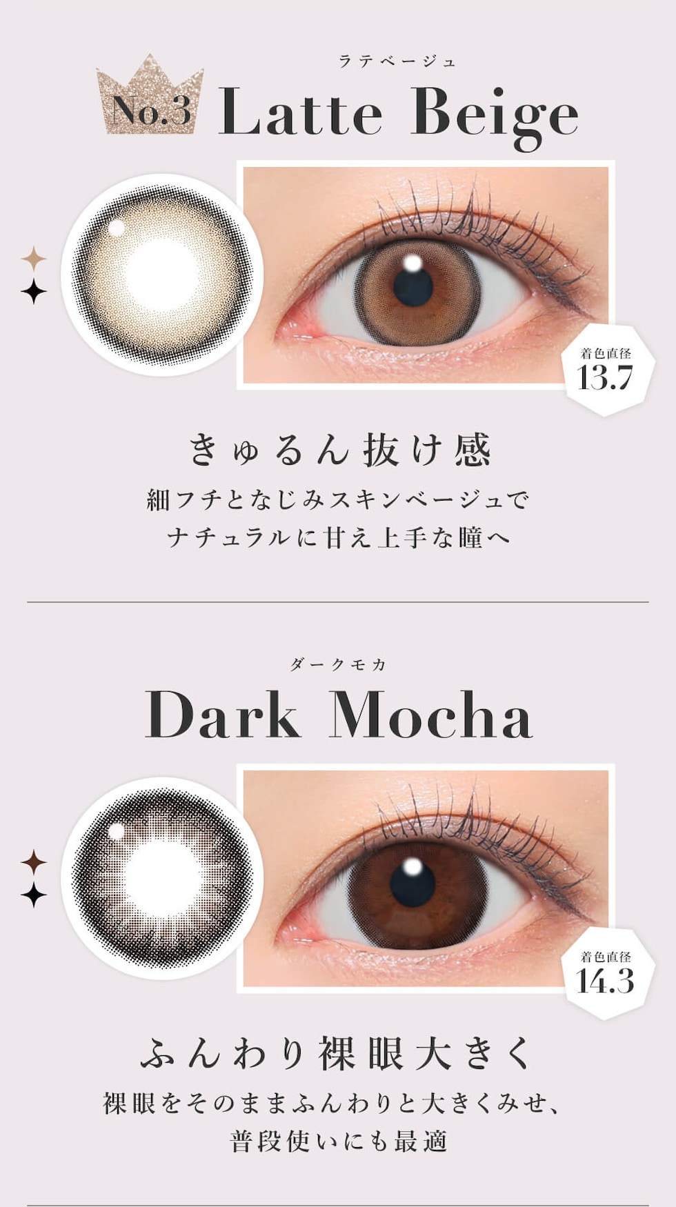 ラテベージュ/ダークモカ