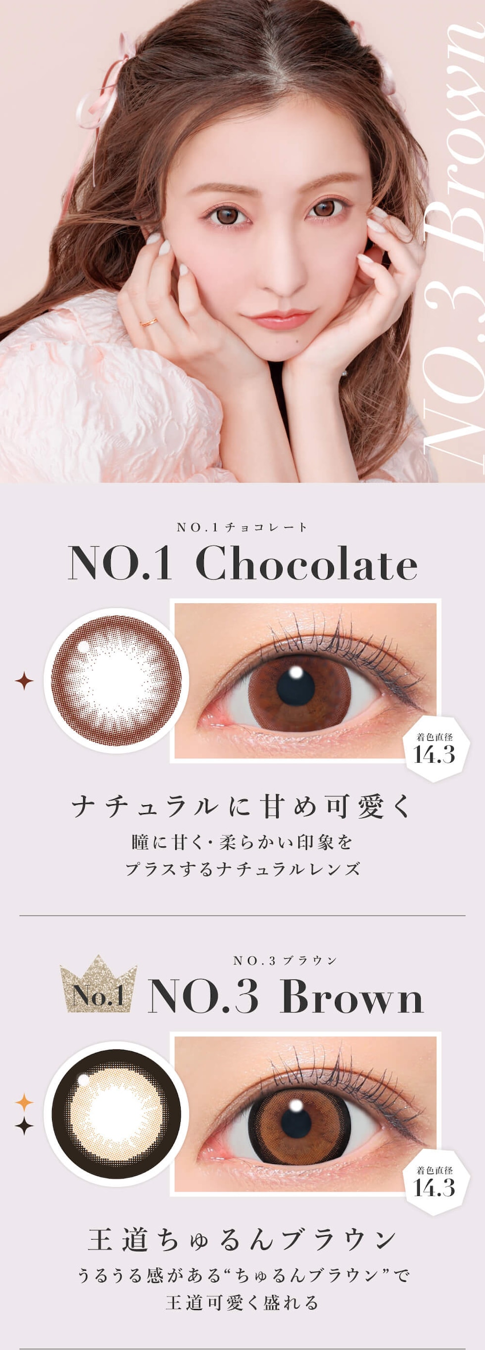 NO.1チョコレート/NO.3ブラウン