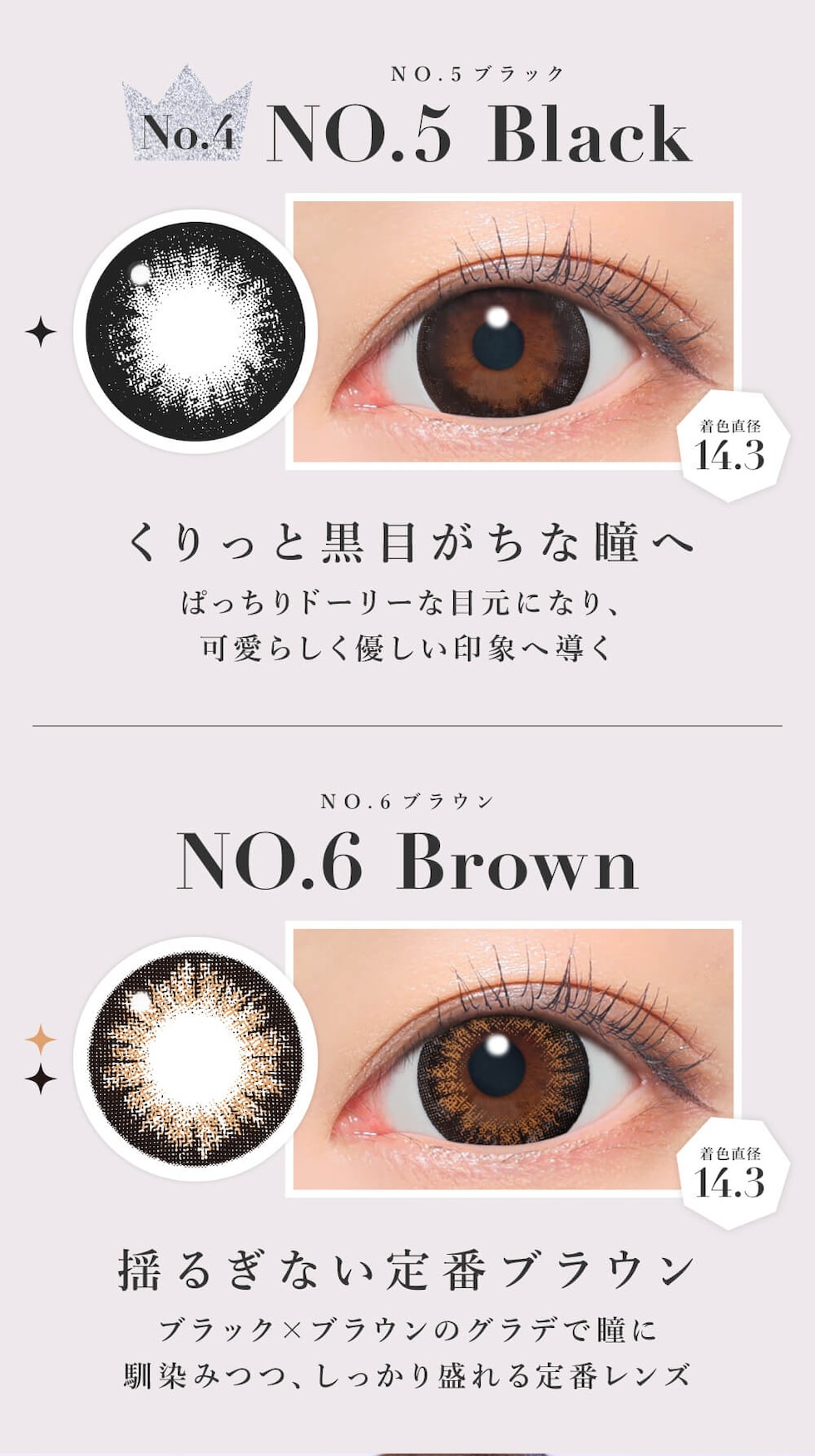 NO.5ブラック/NO.6ブラウン