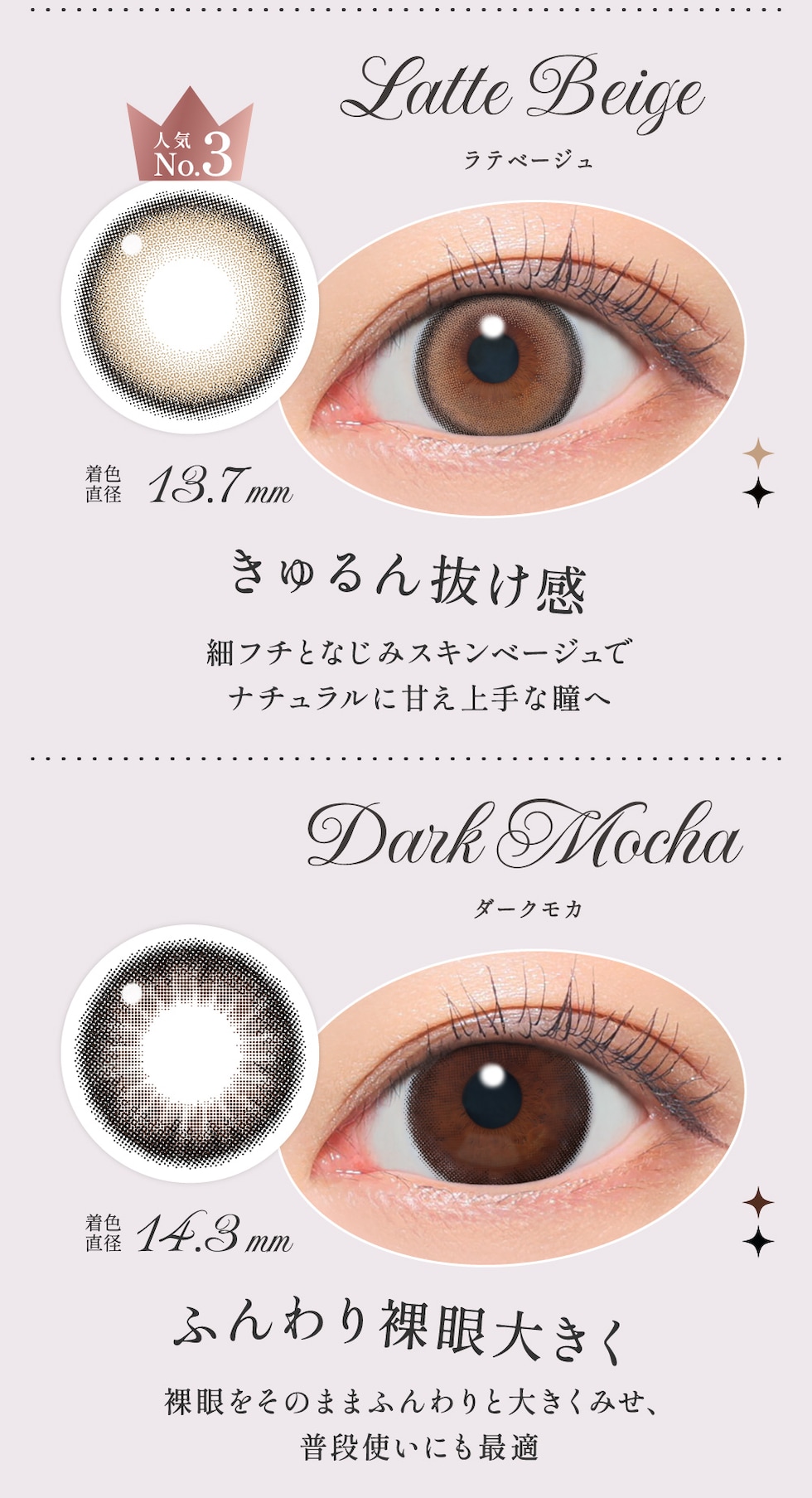 ラテベージュ/ダークモカ