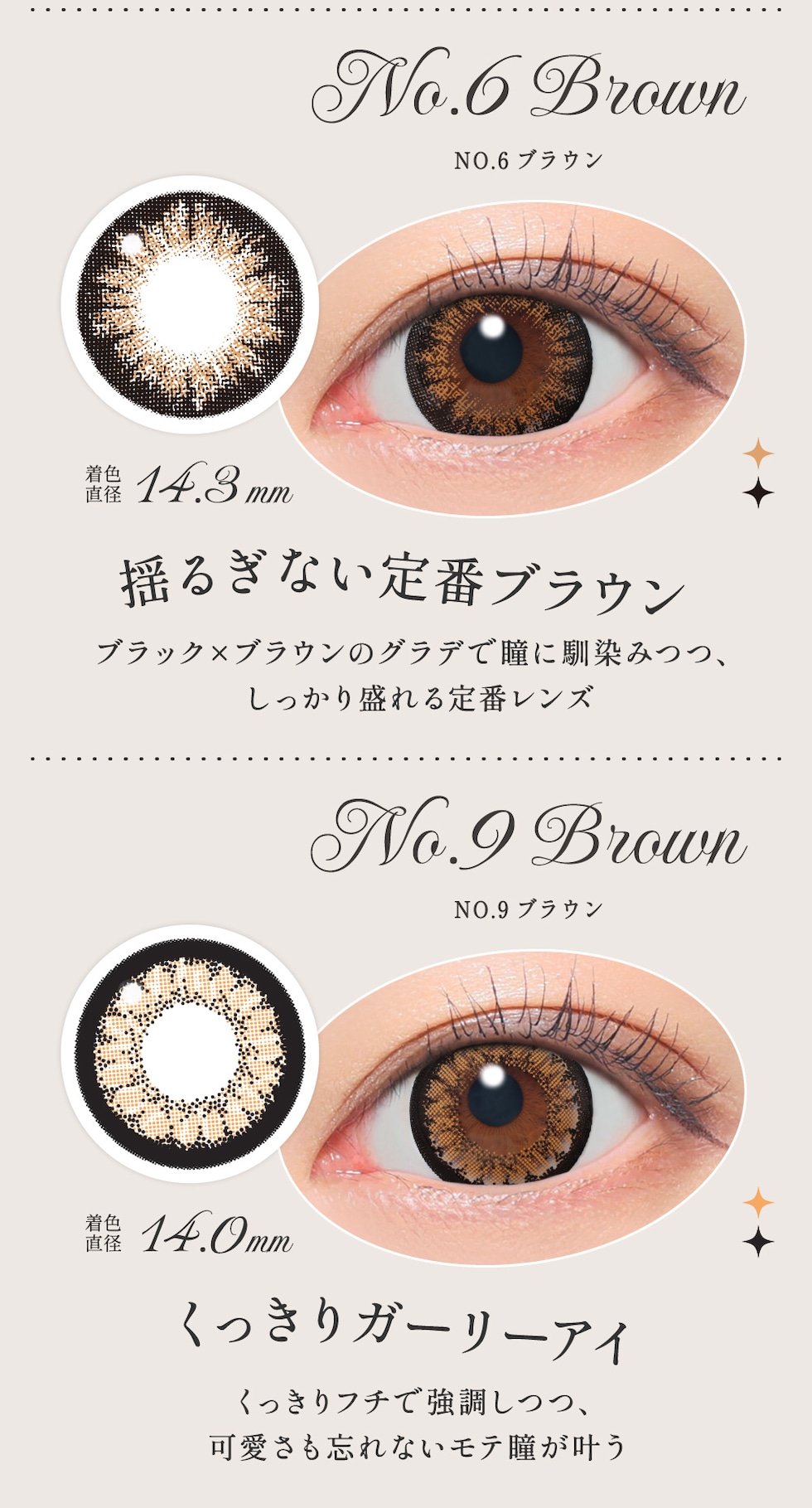 NO.6ブラウン/NO.9ブラウン