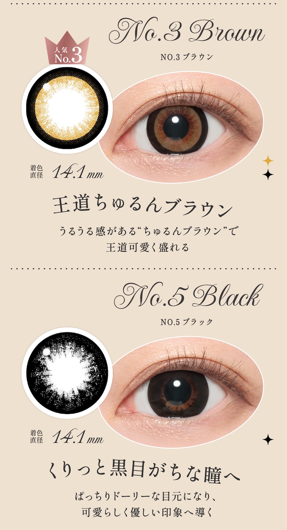 NO.3ブラウン/NO.5ブラック