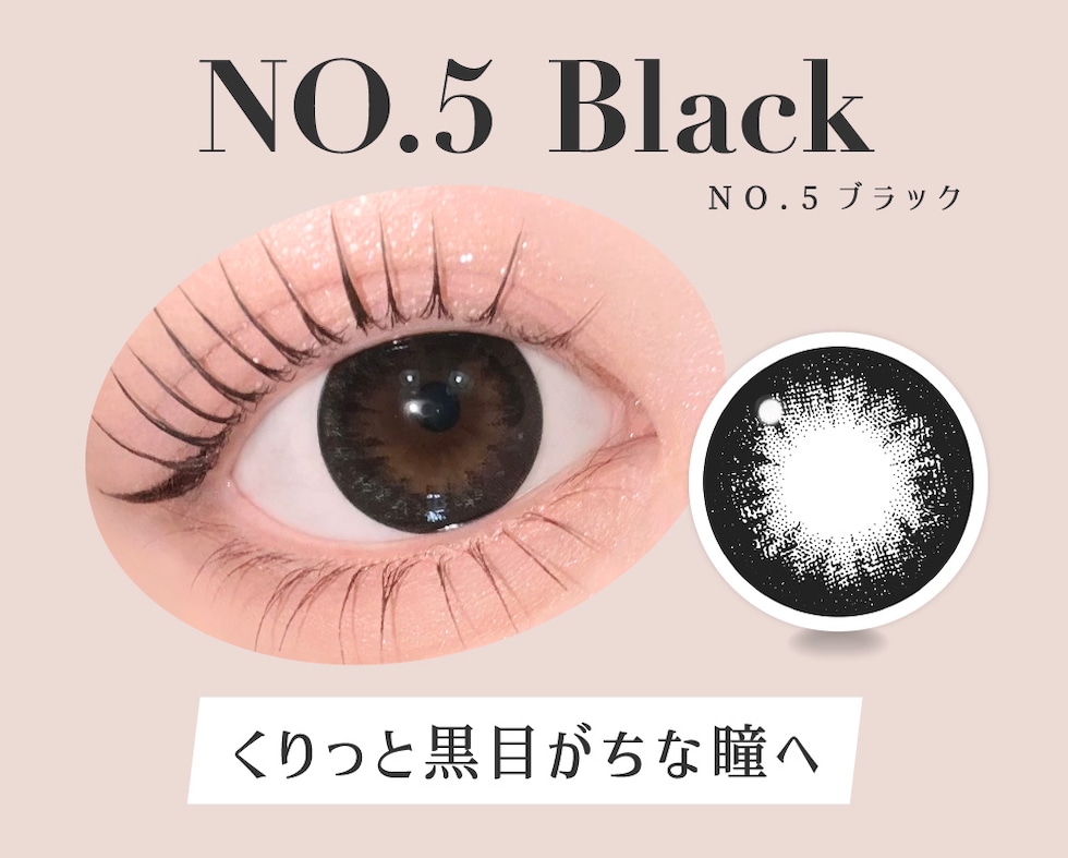 ラインナップ NO.3 ブラウン