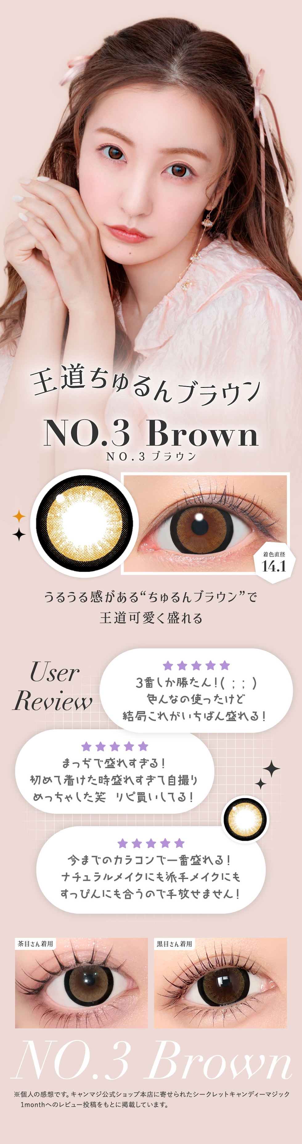 NO.3 ブラウン 着色直径14.1