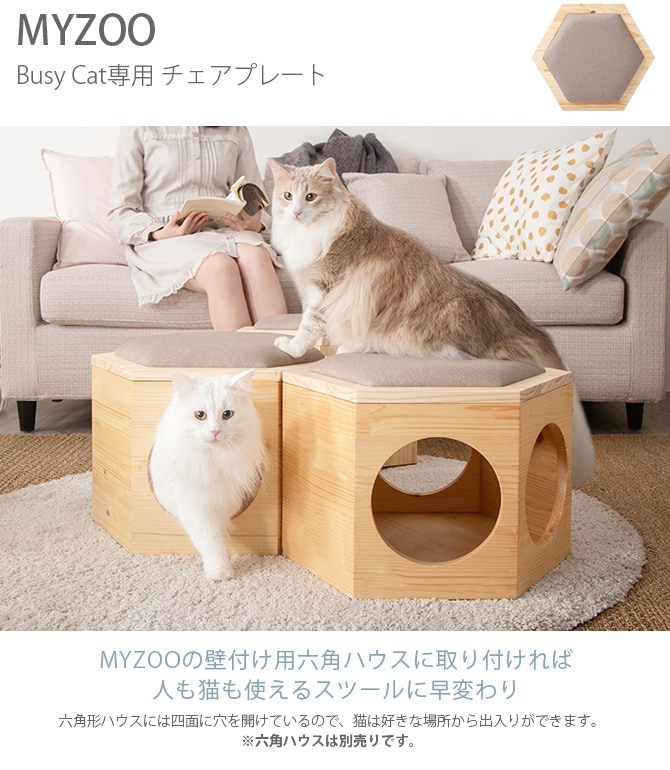 MYZOO マイズー Busy Cat専用 Chair Plate チェアプレート  猫 ハウス スツール 六角 木製 無垢材 シンプル 椅子 腰掛け 北欧  