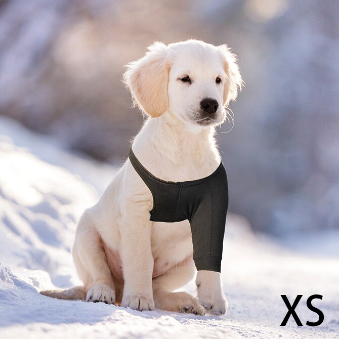 Suitical スーティカル リカバリー・スリーブ XS  犬 サポーター 保護服 前脚用 皮膚疾患 エリザベスカラー 犬の服 伸縮 小型犬  