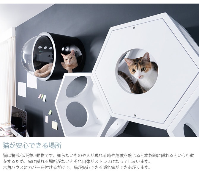 MYZOO マイズー Busy Cat専用 Cover Plate カバープレート ホワイト  猫 ハウス スツール 六角 木製 無垢材 シンプル 椅子 腰掛け MY ZOO  