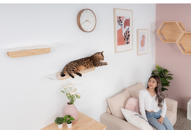 MYZOO マイズー OBLONG 透明キャットステップ 60cm  猫用 キャットステップ キャットウォーク 壁付け 壁掛け クリア アクリル 猫用家具 キャットタワー 北欧  