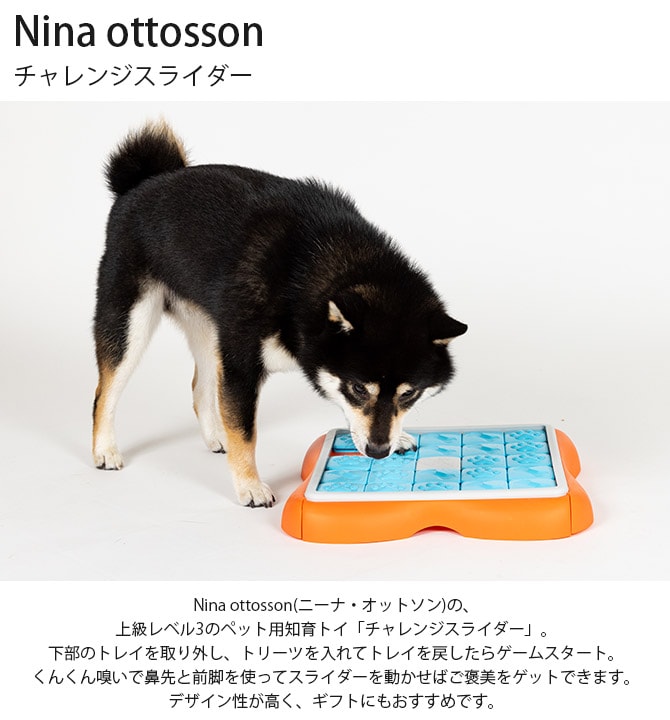 Nina ottosson ニーナ・オットソン チャレンジスライダー 