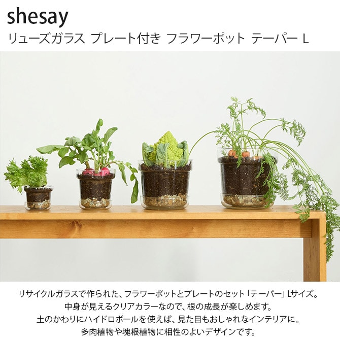 shesay シセイ リューズガラス プレート付き フラワーポット テーパー L 