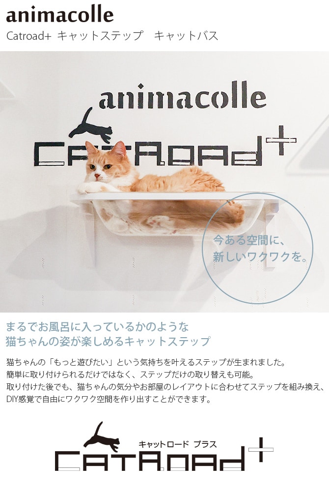 animacolle アニマコレ  Catroad+  キャットバス 