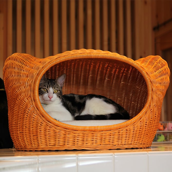 ラタン　キティハウス  キャットベッド 猫用ベッド ベッド ハウス クッション 犬用 かわいい おしゃれ 猫用　ネコ いぬ　犬　イヌ  