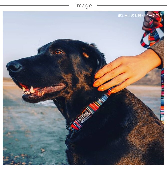 WOLFGANG ウルフギャング Collar 犬用首輪 L(44-68cm)  犬用首輪 首輪 大型犬 犬 イヌ ペット おしゃれ 散歩 お出かけ メンズライク  