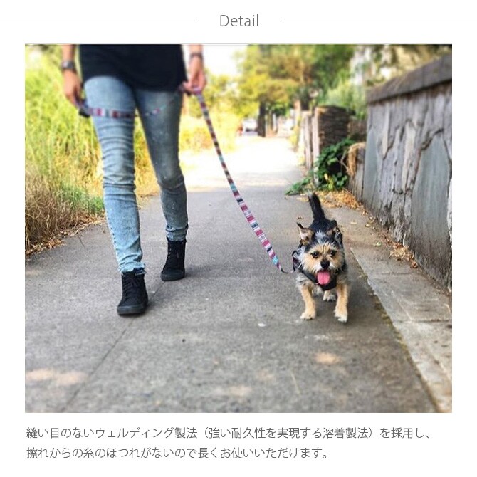 dショッピング |WOLFGANG ウルフギャング Harness 犬用ハーネス S(30-45cm) Quetzal カテゴリ：首輪・リード・ ハーネスの販売できる商品 ガーデン用品屋さん (108mga-2165y1t10)|ドコモの通販サイト