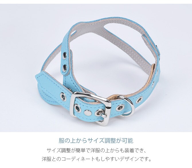 dショッピング |kazama bag カザマバッグ Kazama Premium メガネ