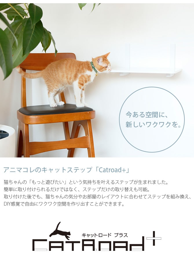 animacolle アニマコレ Catroad+ カラーステップ  猫用 キャットステップ カラー キャットタワー キャットウォーク DIY 壁 シンプル  