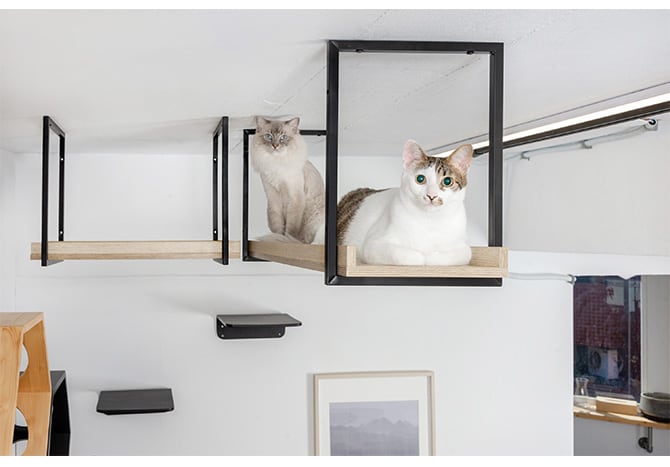 MYZOO マイズー AVENUE 100cm  猫用 猫 キャットステップ キャットウォーク 壁付け 天井付け キャット ステップ ウォーク 北欧  